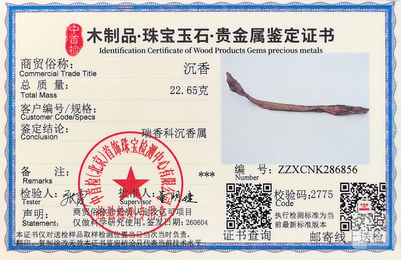 越南芽庄 沉水 红土奇肉｜步步生香·蜗牛禅意摆件 收藏级 - 图19